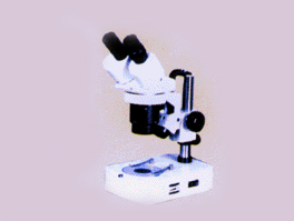 連續(xù)變倍實(shí)體顯微鏡